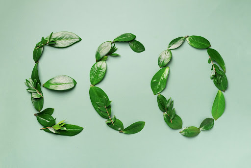 Eco-Friendly Pest Control Solutions for a Greener Home
