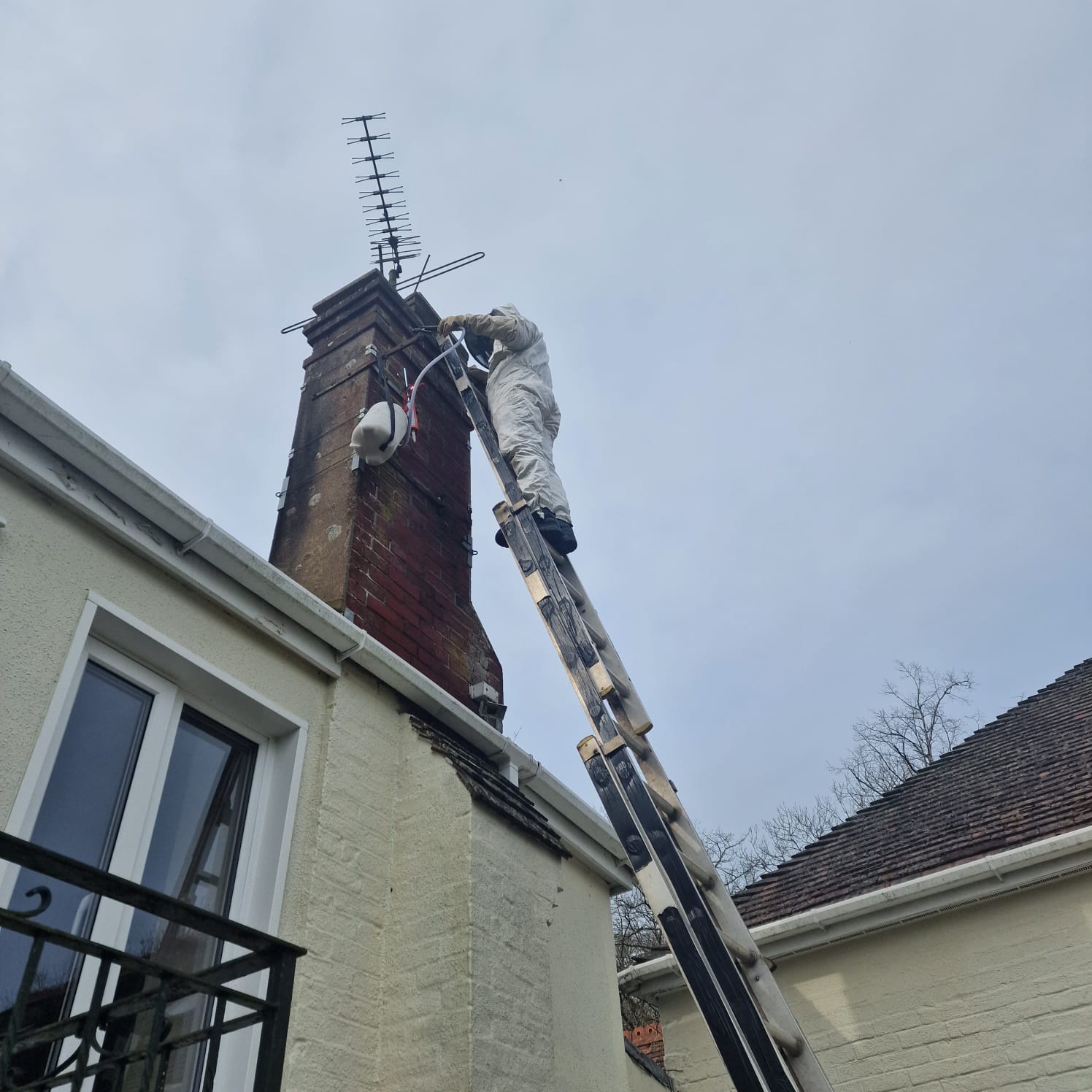 Safe and Effective Pest Control in Seaford