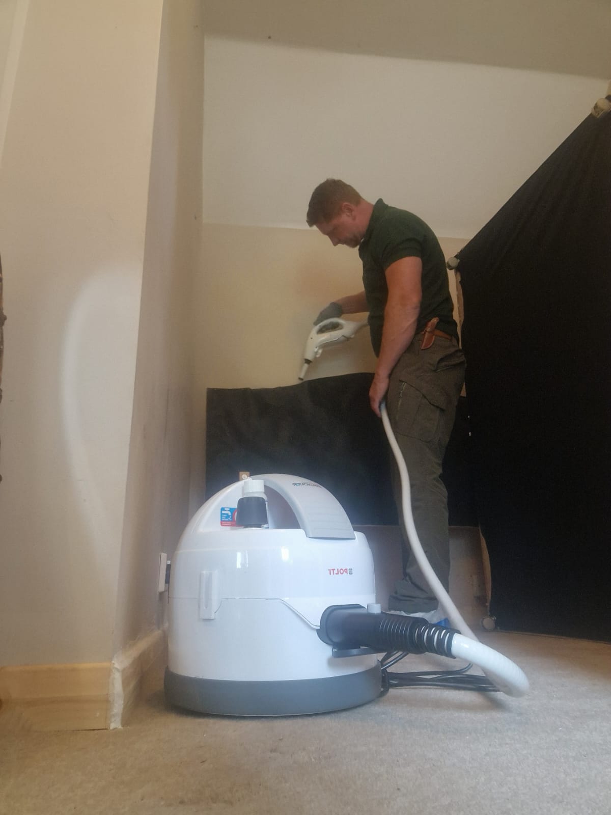Bed Bug Infestations: Signs, Prevention, and Treatment Options