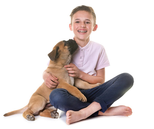 Pest Control for Families: Keeping Your Home Safe for Kids and Pets