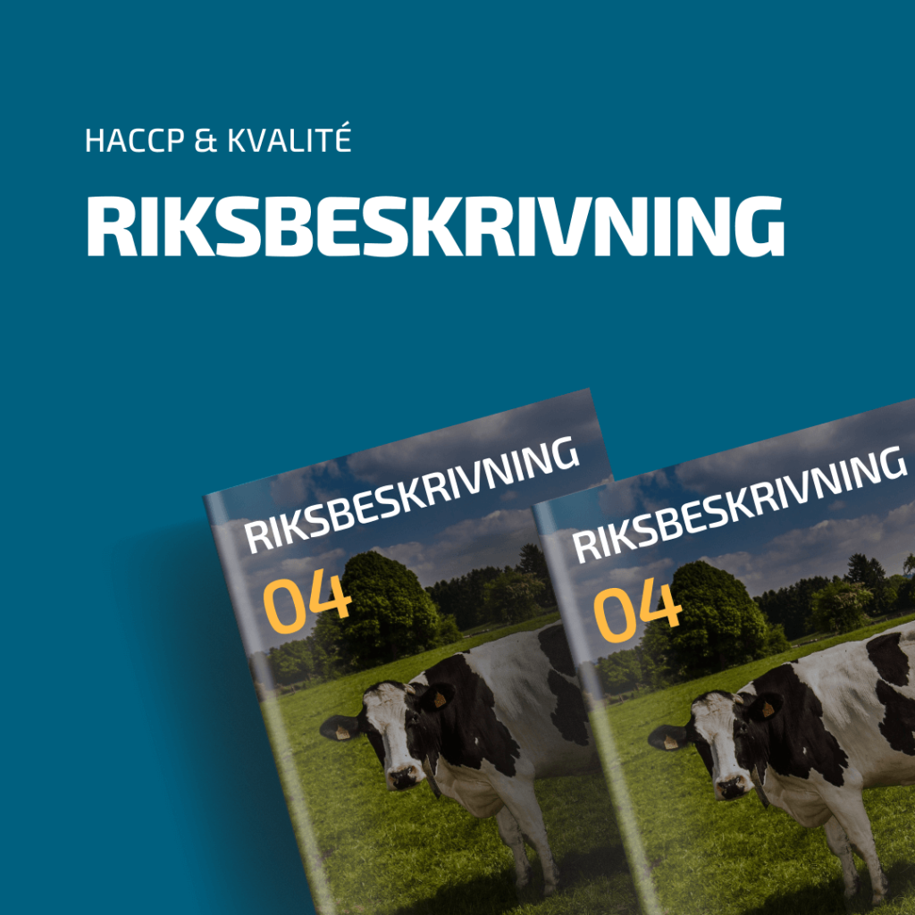 Riksbeskrivning