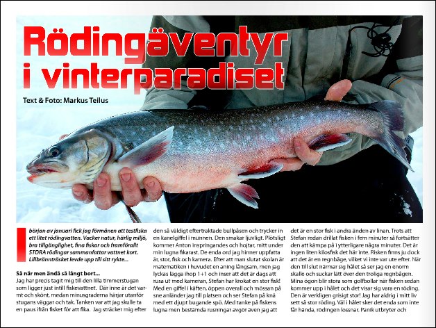Rödingäventyr i vinterparadiset