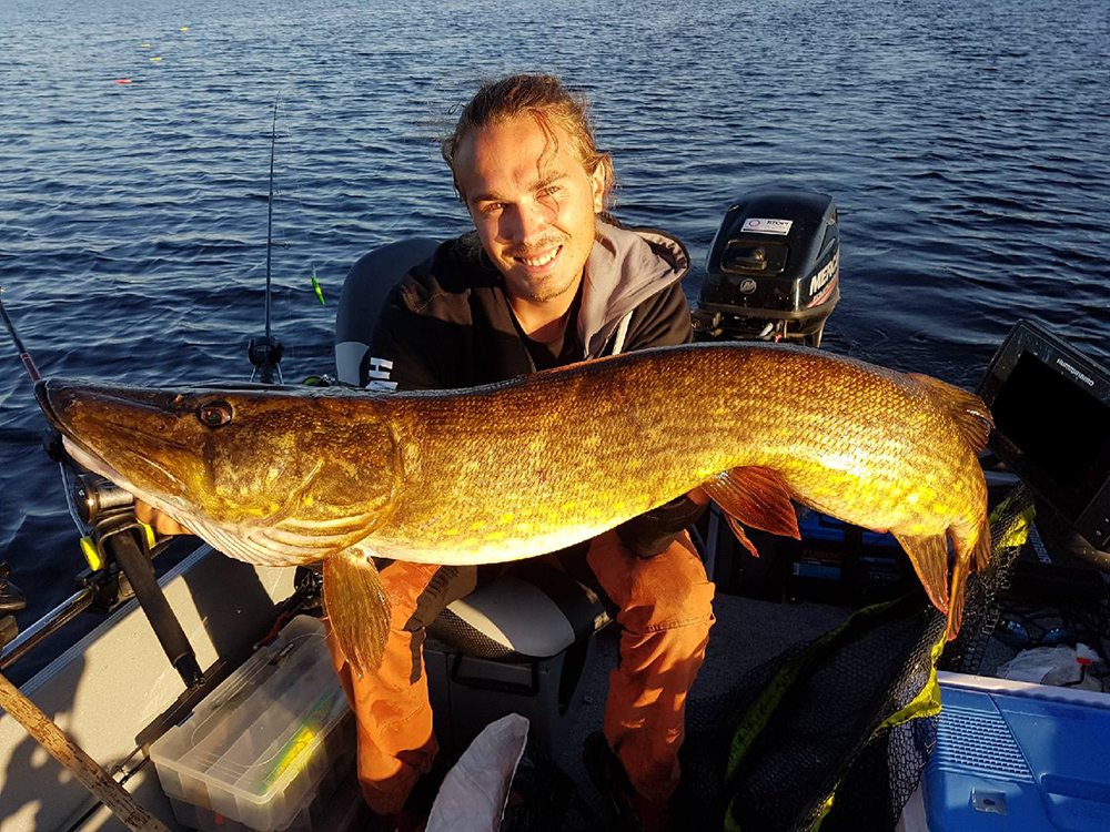 Sommargädda på 8610 gr och 110 cm.