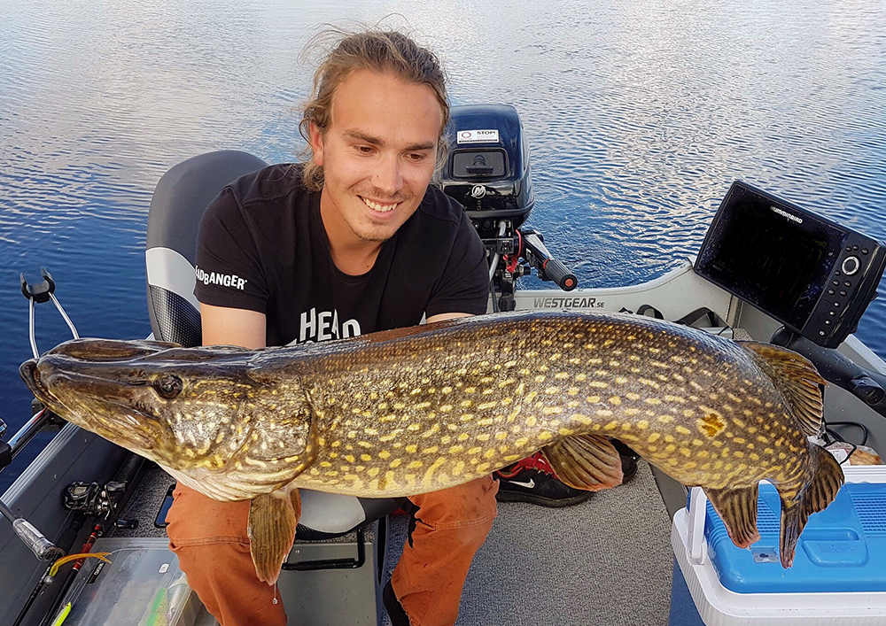 Sommargädda på 7830 gr.