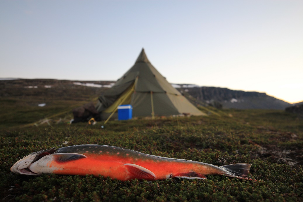 Tältkåta & Fjällfiske
