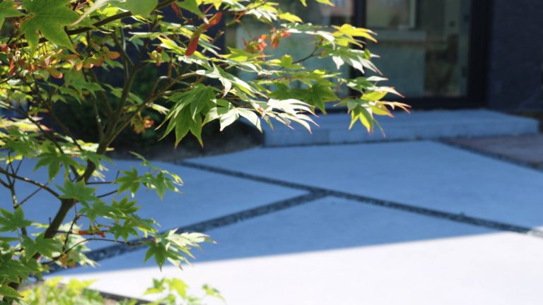 Beplanting japanse esdoorn naast terras in polybeton