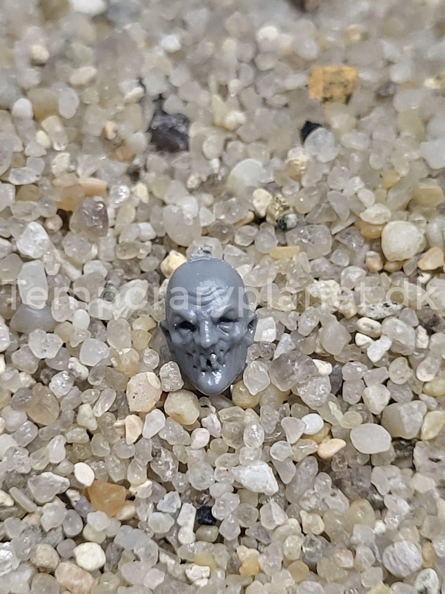 Flagelants Empire 2007 Warhammer Fantasy Games Workshop Head I
