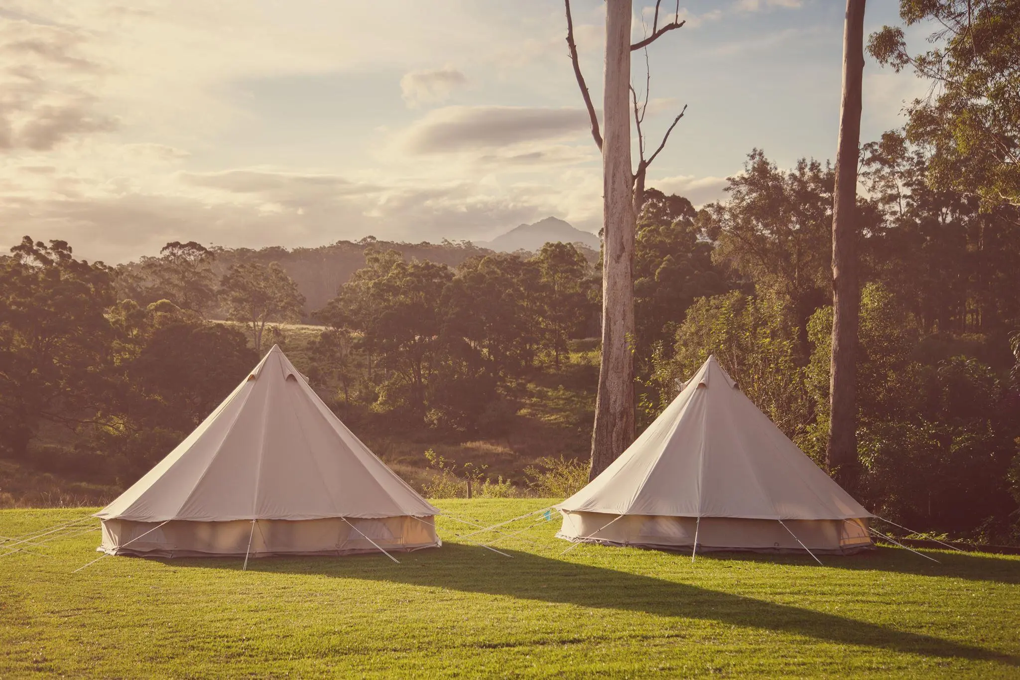Tipi deluxe 500
