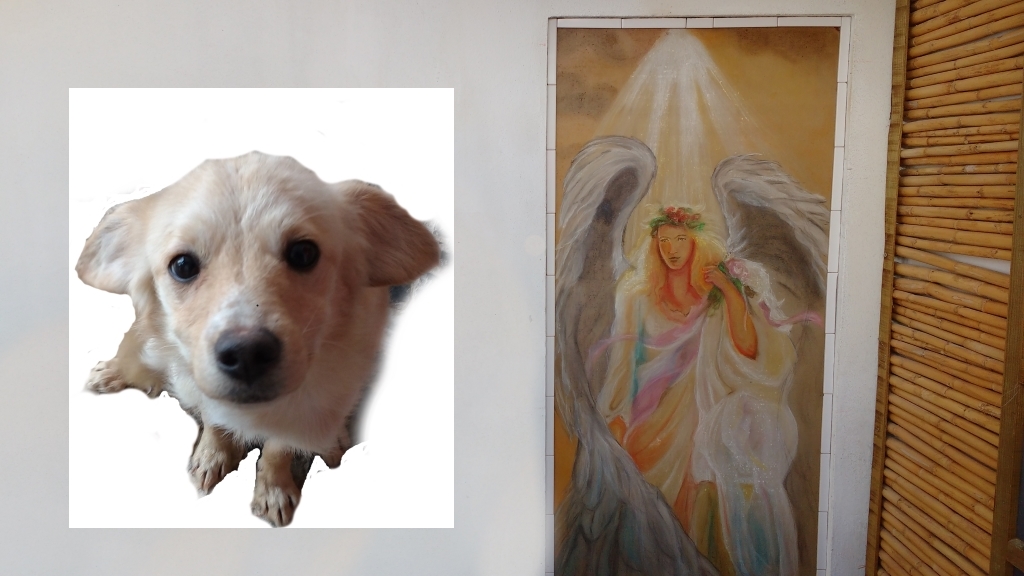 a-little-dog-looking-up-and-a-painting-of-a-guardian-angel