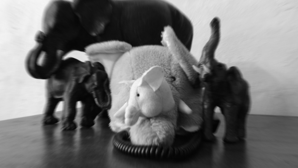 blog_een-olifant-in-de-kamer