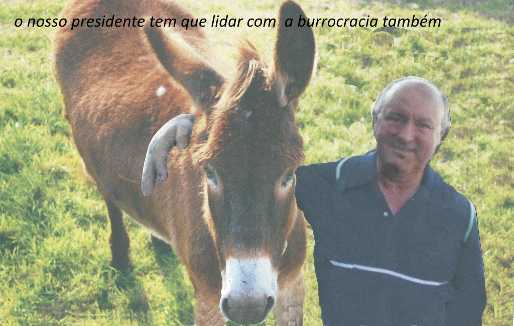 o-presidente-tem-que-lidar-com-a-burrocracia-tambem