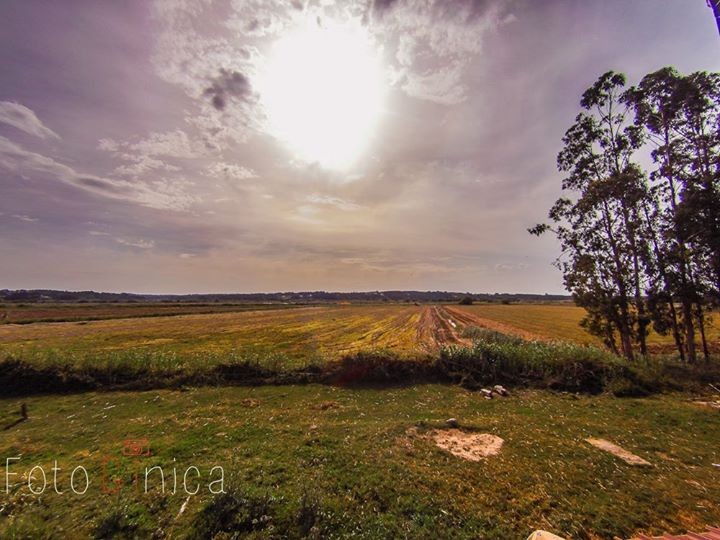 blogue_caça-para-casas-em-Portugal