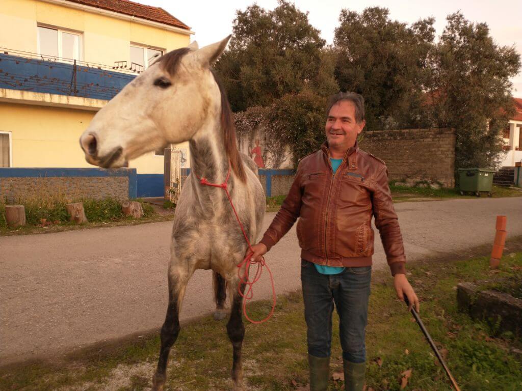 baasje van het paard in portugal