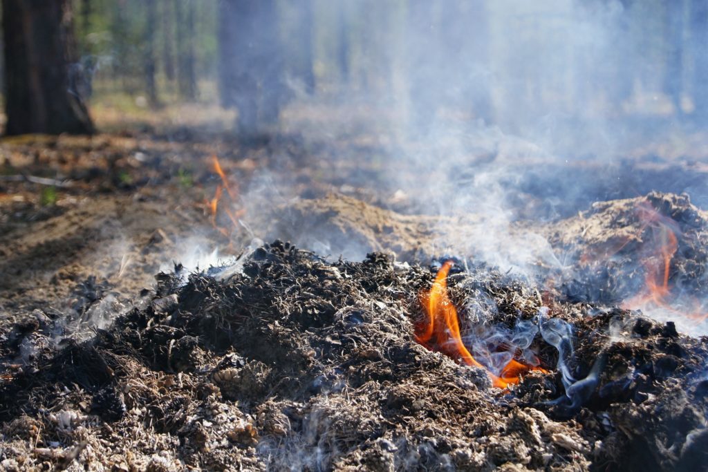 Smoldering fire in the forest