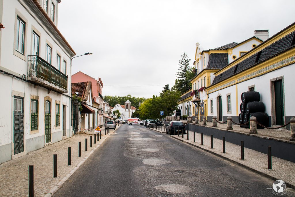 Vinery Lisbon