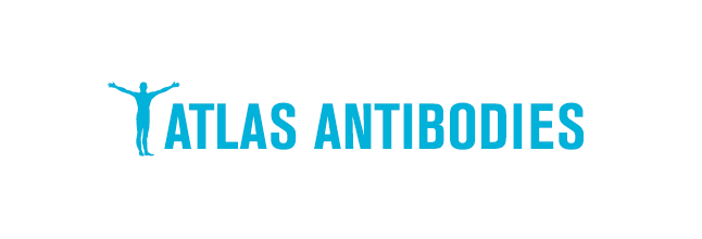 Atlas Antibodies Logo