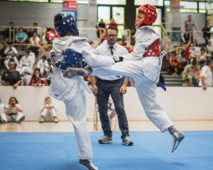 Taekwondo Bild 1