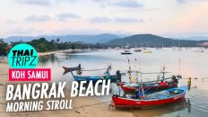 Bangrak Beach, Koh Samui, Thailand - THAITRIPZ