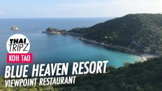 Blue Heaven Resort, Restaurant, Viewpoint, Koh Tao, Thailand - THAITRIPZ