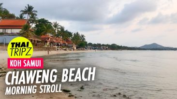 Chaweng Beach, Morning stroll, Koh Samui, Thailand - THAITRIPZ