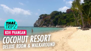 Cocohut Beach Resort, Koh Phangan, Thailand - THAITRIPZ