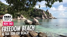 Freedom Beach, Taa Toh Yai Beach, Koh Tao, Thailand