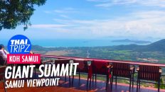 Giant Summit Samui - THAITRIPZ