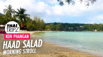 Haad Salad Beach, Koh Phangan, Thailand - THAITRIPZ