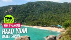 Haad Yuan Beach, Koh Phangan, Thailand - THAITRIPZ