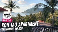 Koh Tao Apartment / Tao Hub, Room A28, Thailand