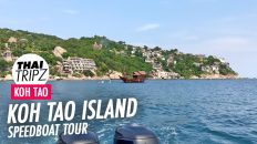 Koh Tao Speed Boat Tour, Thailand