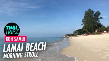 Lamai Beach, Morning, Koh Samui, Thailand