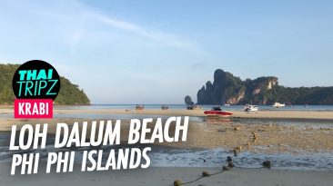 Loh Dalum Beach, Phi Phi Island