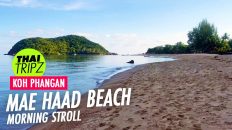 Mae Haad Beach, Koh Phangan, Thailand - THAITRIPZ