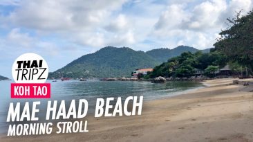 Mae Haad Beach, Koh Tao, Thailand