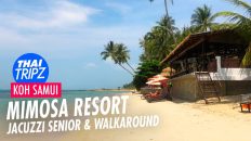 Mimosa Resort Koh Samui - THAITRIPZ