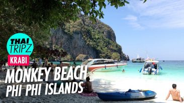Monkey Beach, Phi Phi Island, Krabi, Thailand
