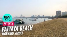 Pattaya Beach - Morning Stroll - Pattaya, Thailand - THAITRIPZ