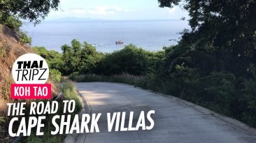 Road to Cape Shark Villas, Koh Tao, Thailand