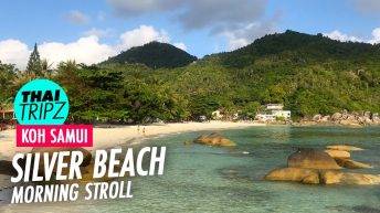 Silver Beach, Morning Stroll, Koh Samui, Thailand - THAITRIPZ