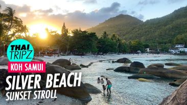 Silver Beach, Sunset stroll, Koh Samui, Thailand - THAITRIPZ