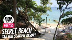 Taa Toh Seaview Resort, Beach, Koh Tao, Thailand