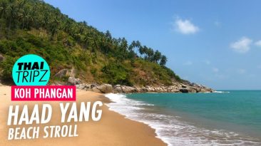 Yang Beach, Koh Phangan, Thailand - THAITRIPZ