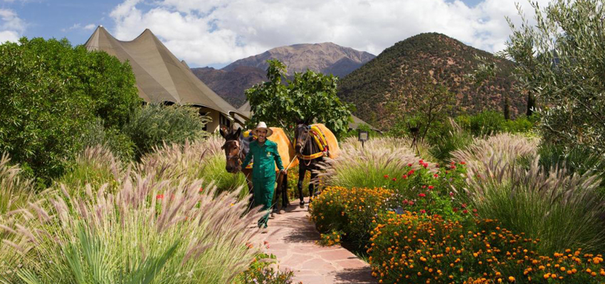 850x400-Kasbah_Tamadot_Morocco