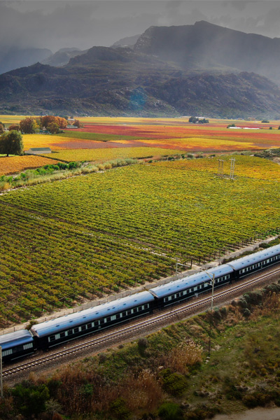 Rovos-Rail-South_Africa