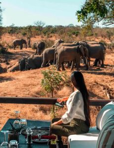 400x650-The-royal-portfolio-malewane-south-africa_0001_rm the lodge dining elephants.jpg