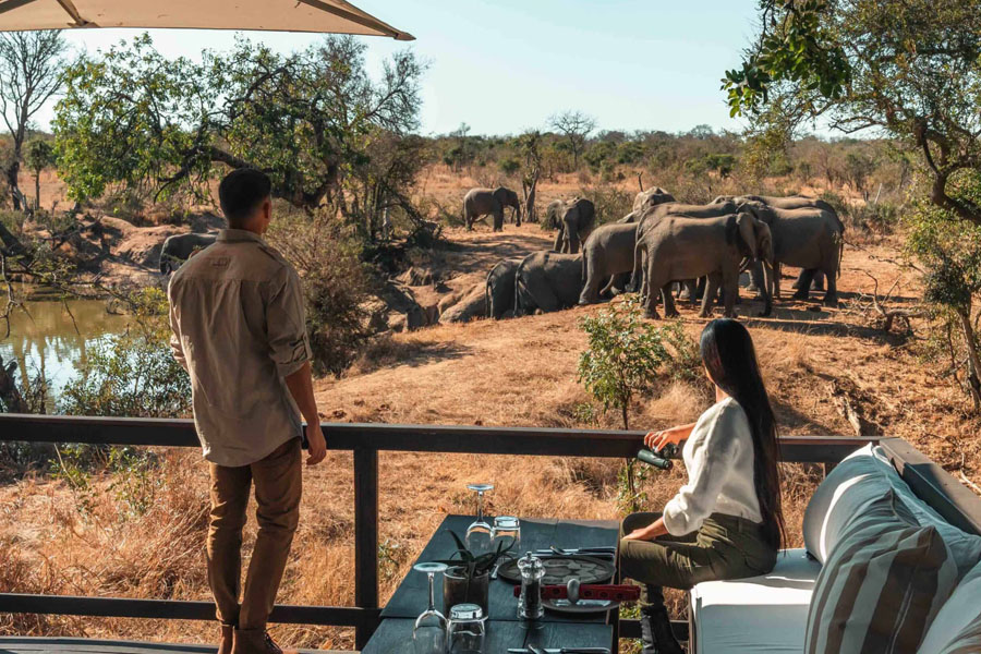 900x600-The-royal-portfolio-malewane-south-africa_0004_rm the lodge dining elephants.jpg