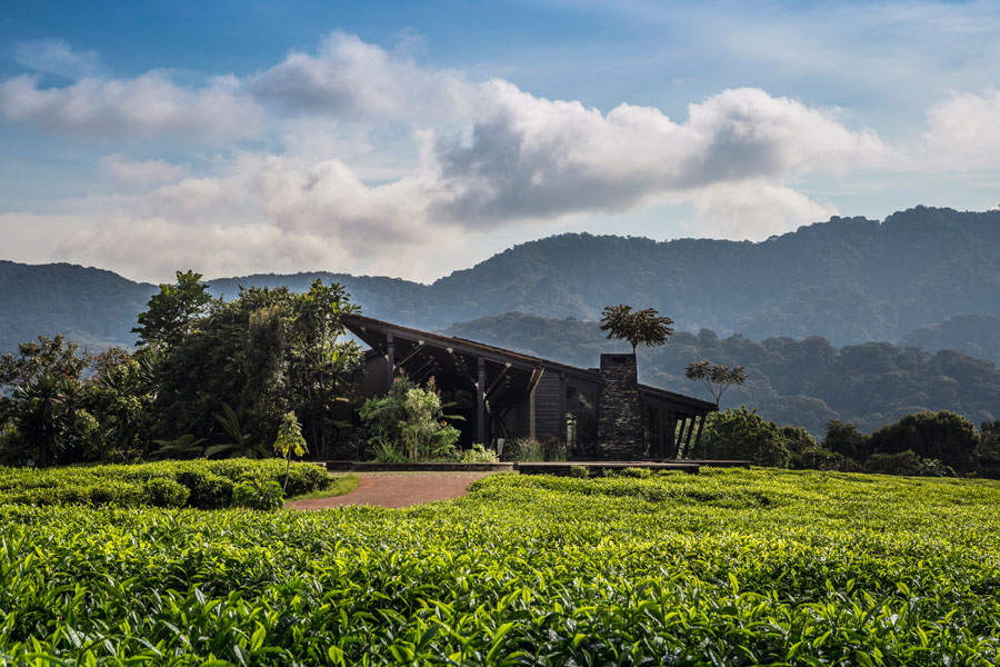 One&Only-Nyungwehouse-Rwanda