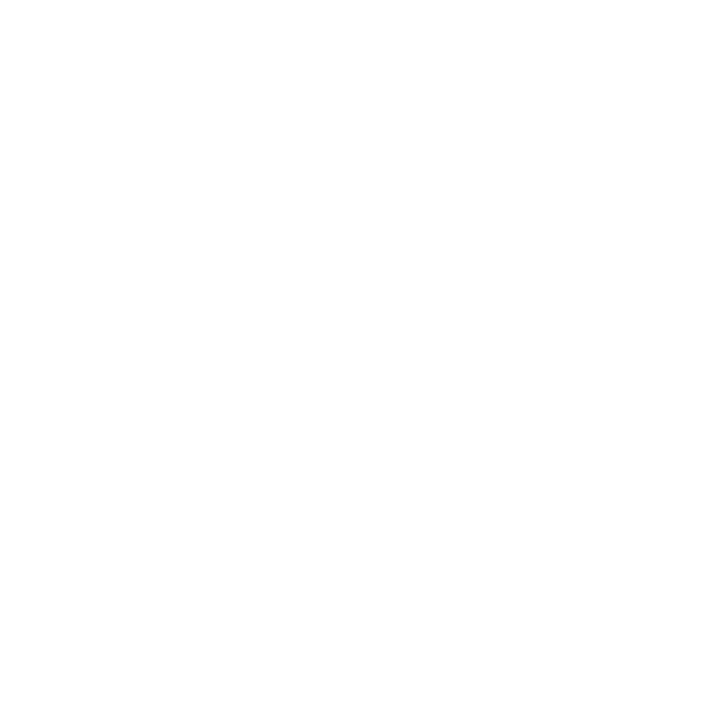 INDIE FEST