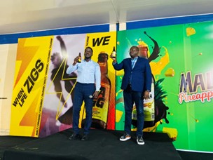 Brewery Unveils Zagg Energy and Maltina Pineapple Drinks